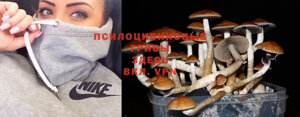 героин Бородино