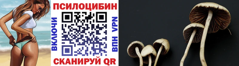 Псилоцибиновые грибы Psilocybe  KRAKEN tor  Прокопьевск  что такое  